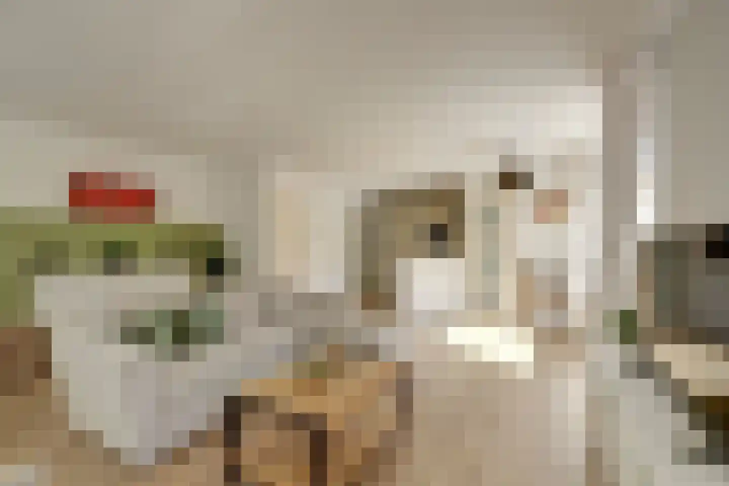Roompolderstraat 27 Gouda thumbnail 9