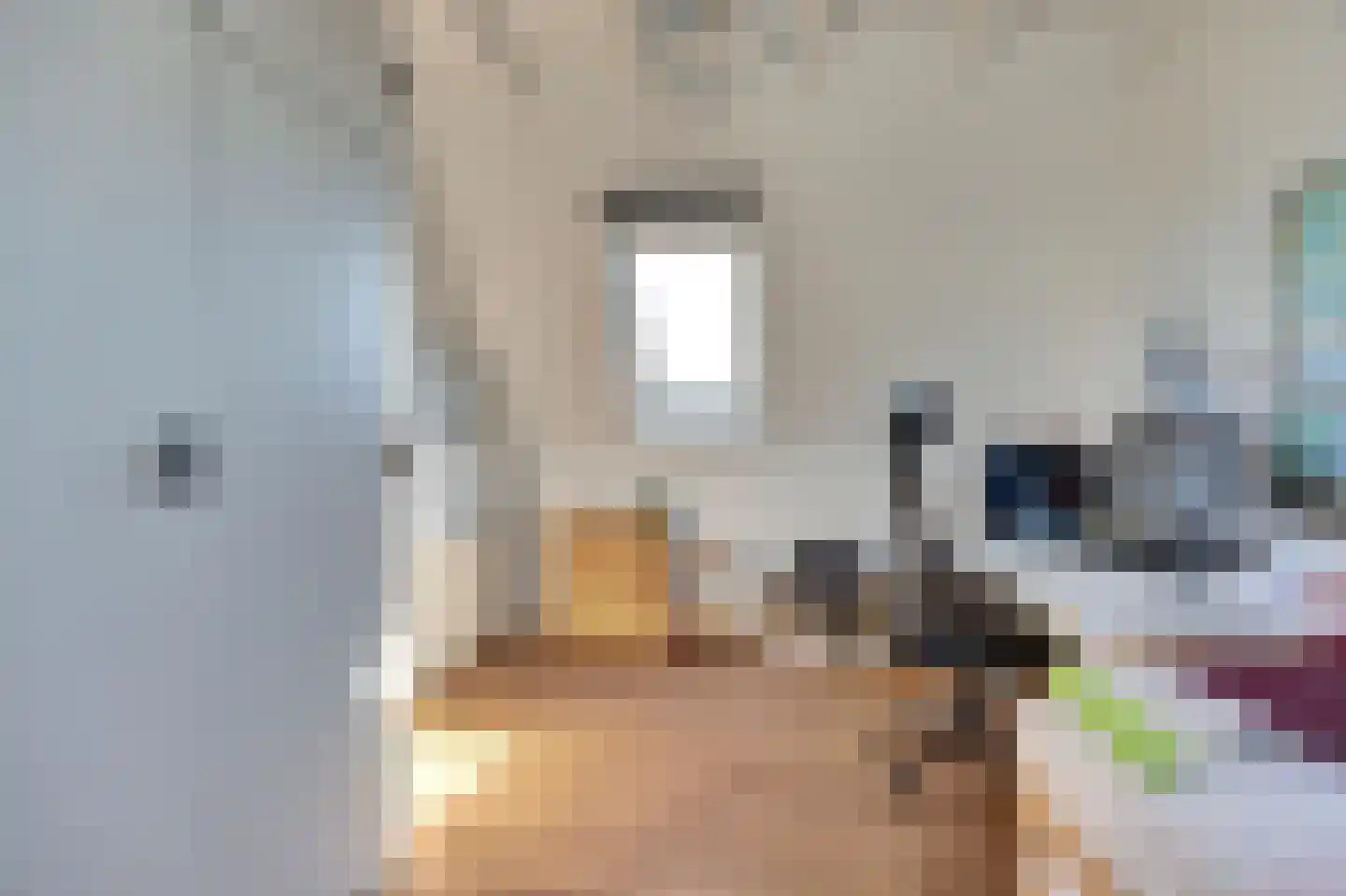 Roompolderstraat 3 Gouda thumbnail 23