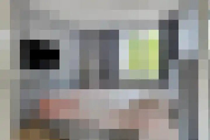 Roompolderstraat 7 Gouda thumbnail 15