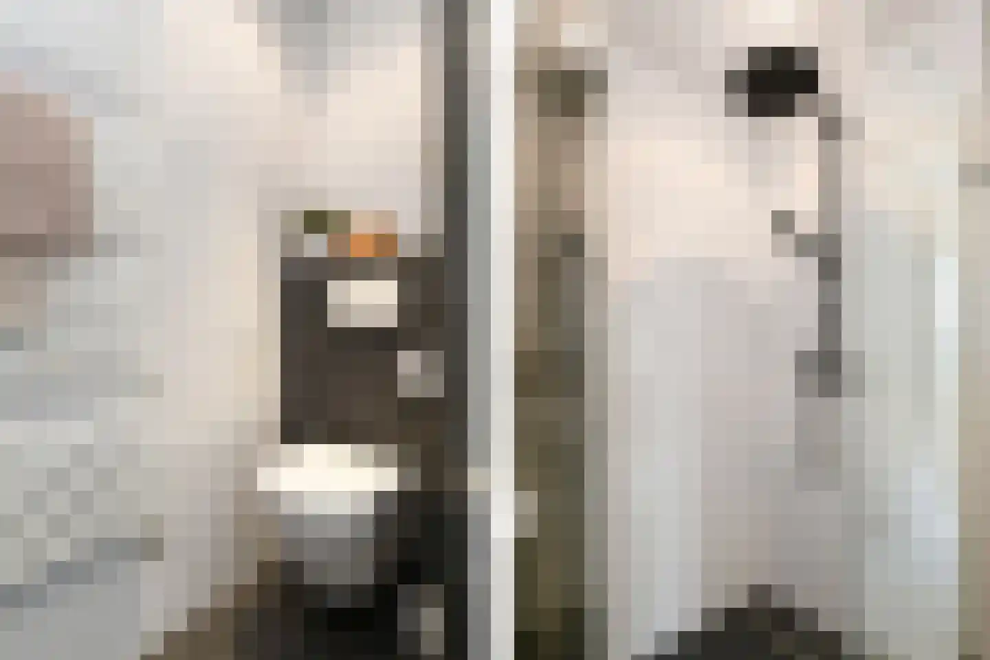 Roompot 15 Eindhoven thumbnail 24