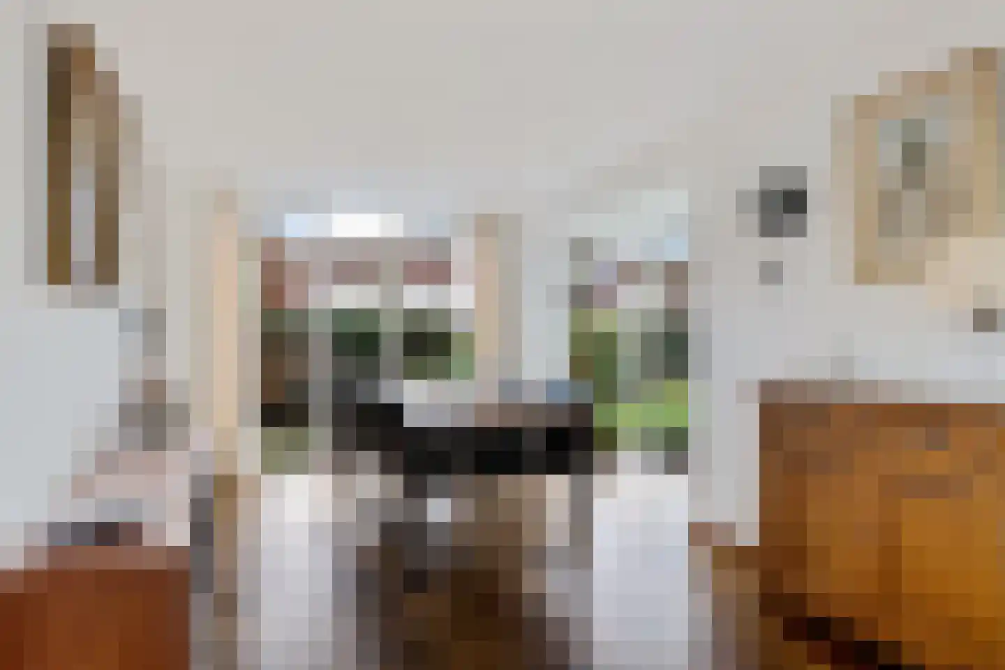 Roompot 23 Eindhoven thumbnail 11