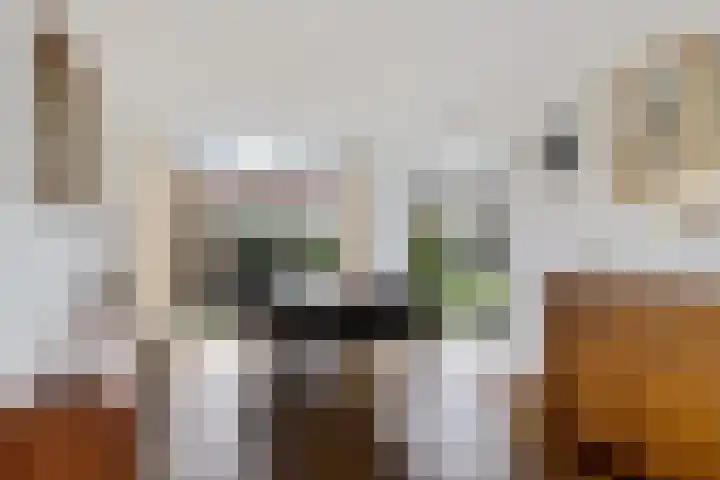 Roompot 23 Eindhoven thumbnail 11