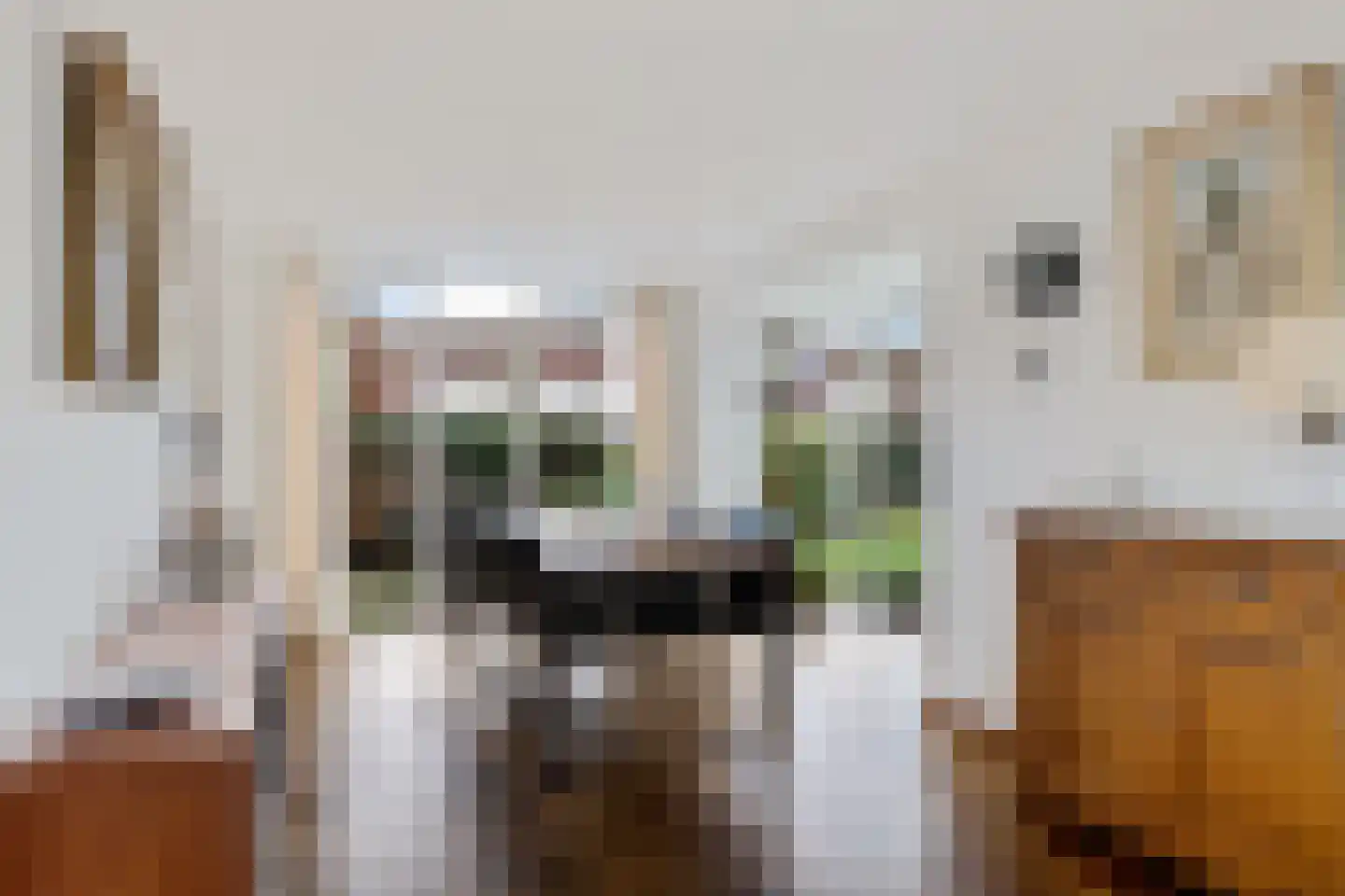 Roompot 23 Eindhoven thumbnail 11