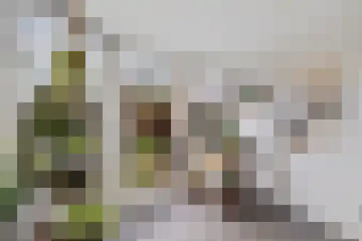 Roompot 23 Eindhoven thumbnail 16