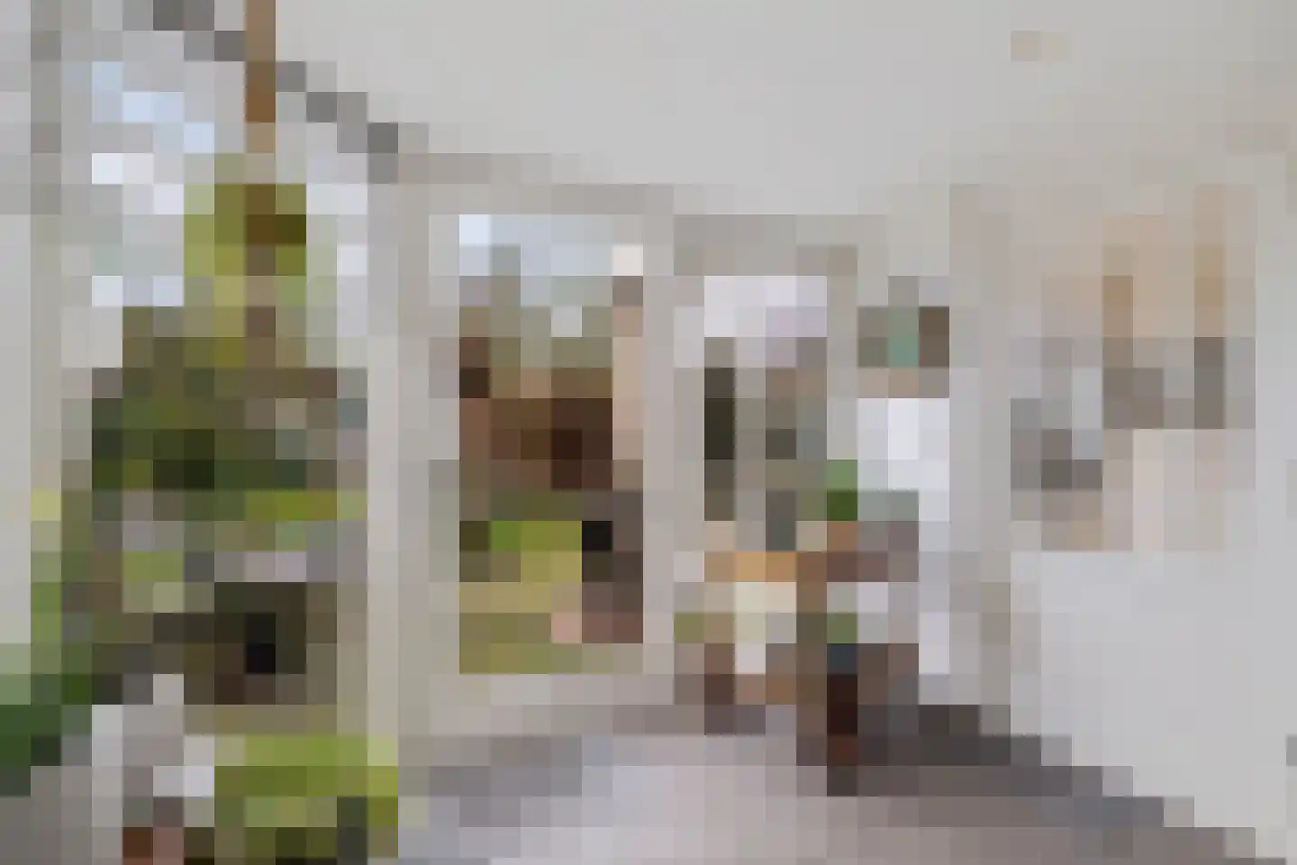 Roompot 23 Eindhoven thumbnail 16