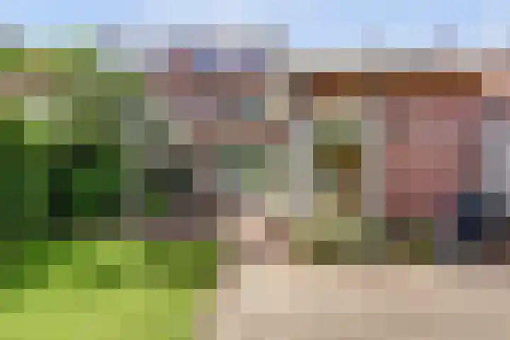 Roompot 23 Eindhoven thumbnail 18