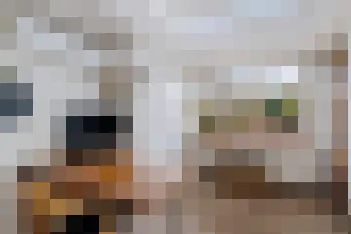 Roompot 23 Eindhoven thumbnail 18