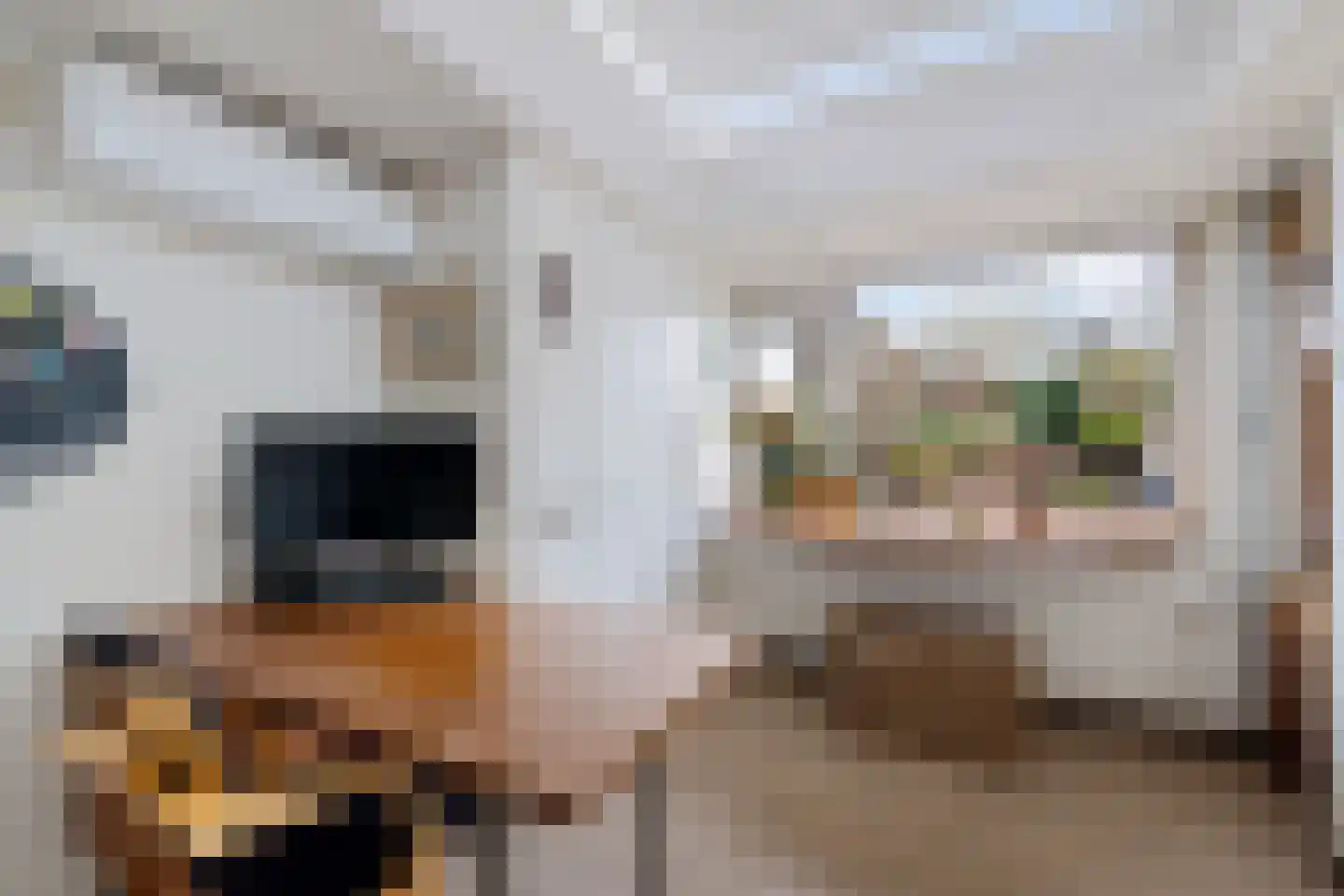 Roompot 23 Eindhoven thumbnail 18