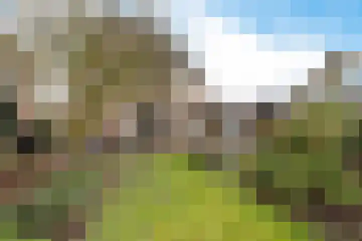 Roompot 23 Eindhoven foto 2