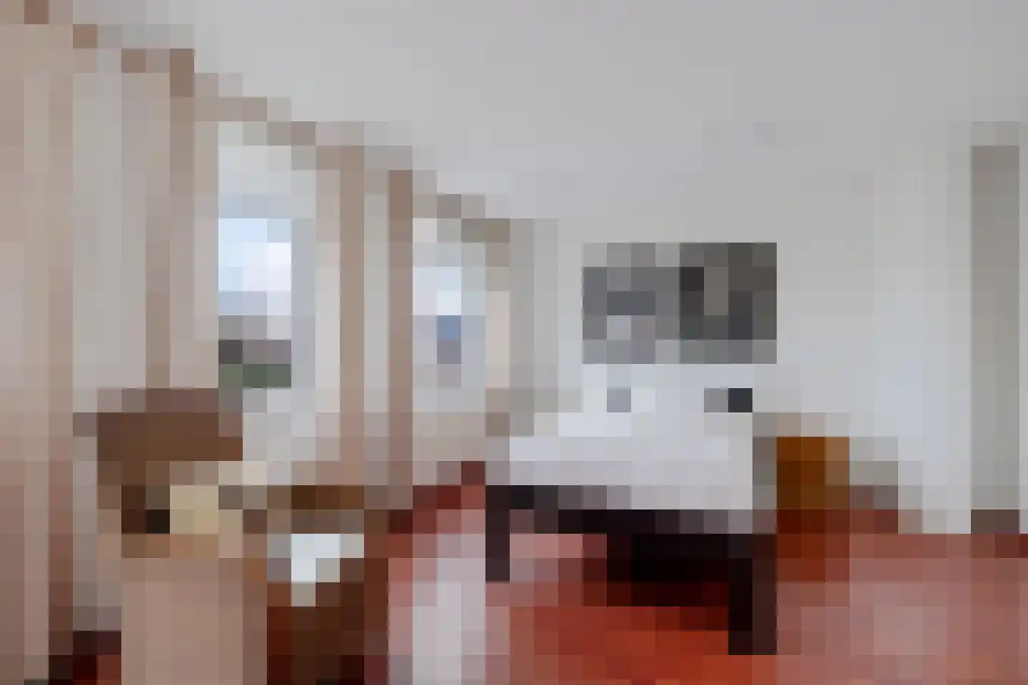 Roompot 23 Eindhoven thumbnail 21