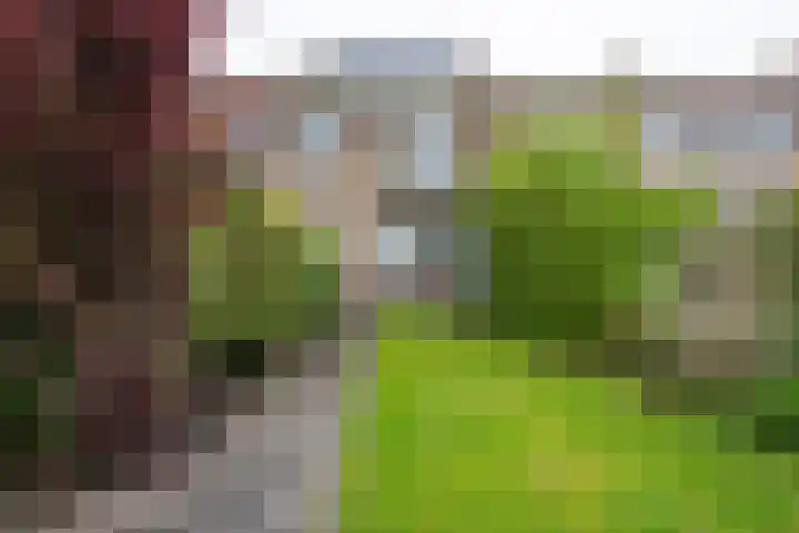 Roompot 23 Eindhoven thumbnail 21