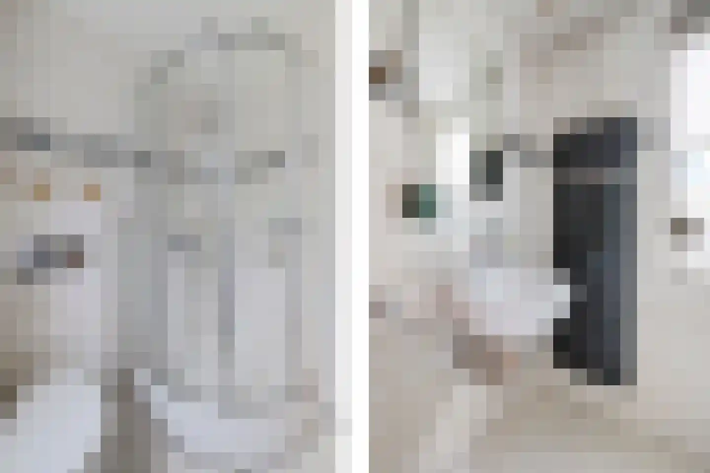 Roompot 23 Eindhoven thumbnail 24
