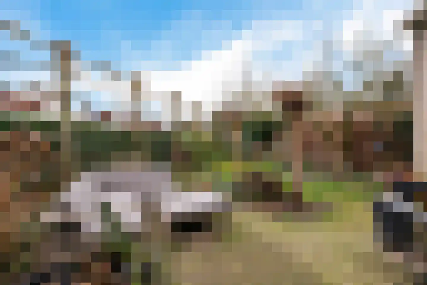 Roompot 23 Eindhoven thumbnail 31