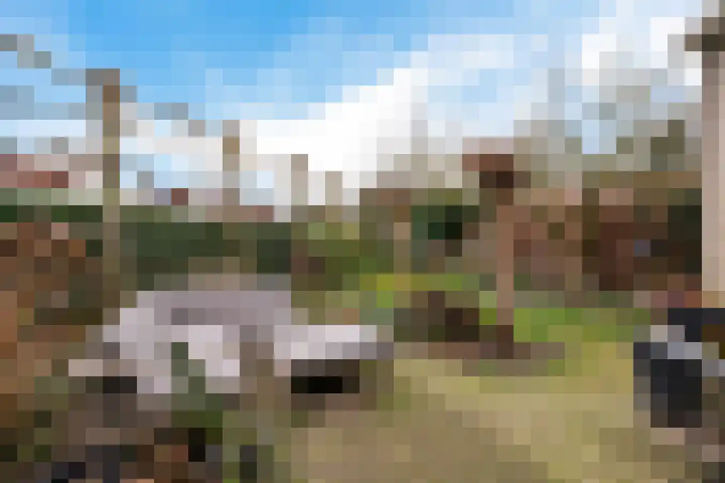 Roompot 23 Eindhoven thumbnail 31