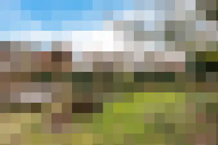 Roompot 23 Eindhoven thumbnail 33
