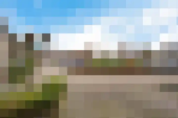 Roompot 23 Eindhoven thumbnail 4