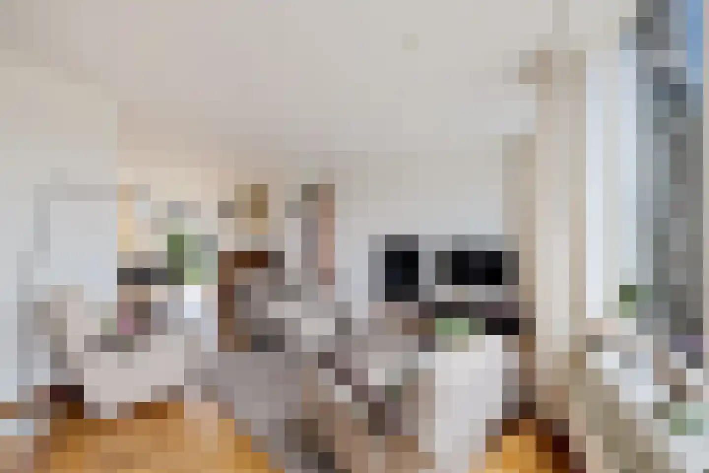 Roompot 23 Eindhoven thumbnail 5