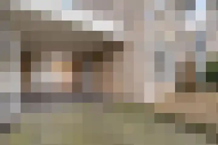 Roompot 23 Eindhoven thumbnail 5