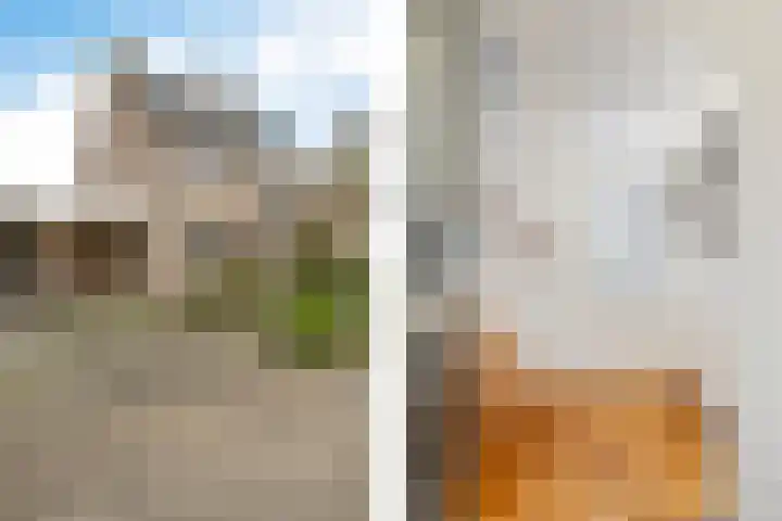 Roompot 23 Eindhoven thumbnail 6