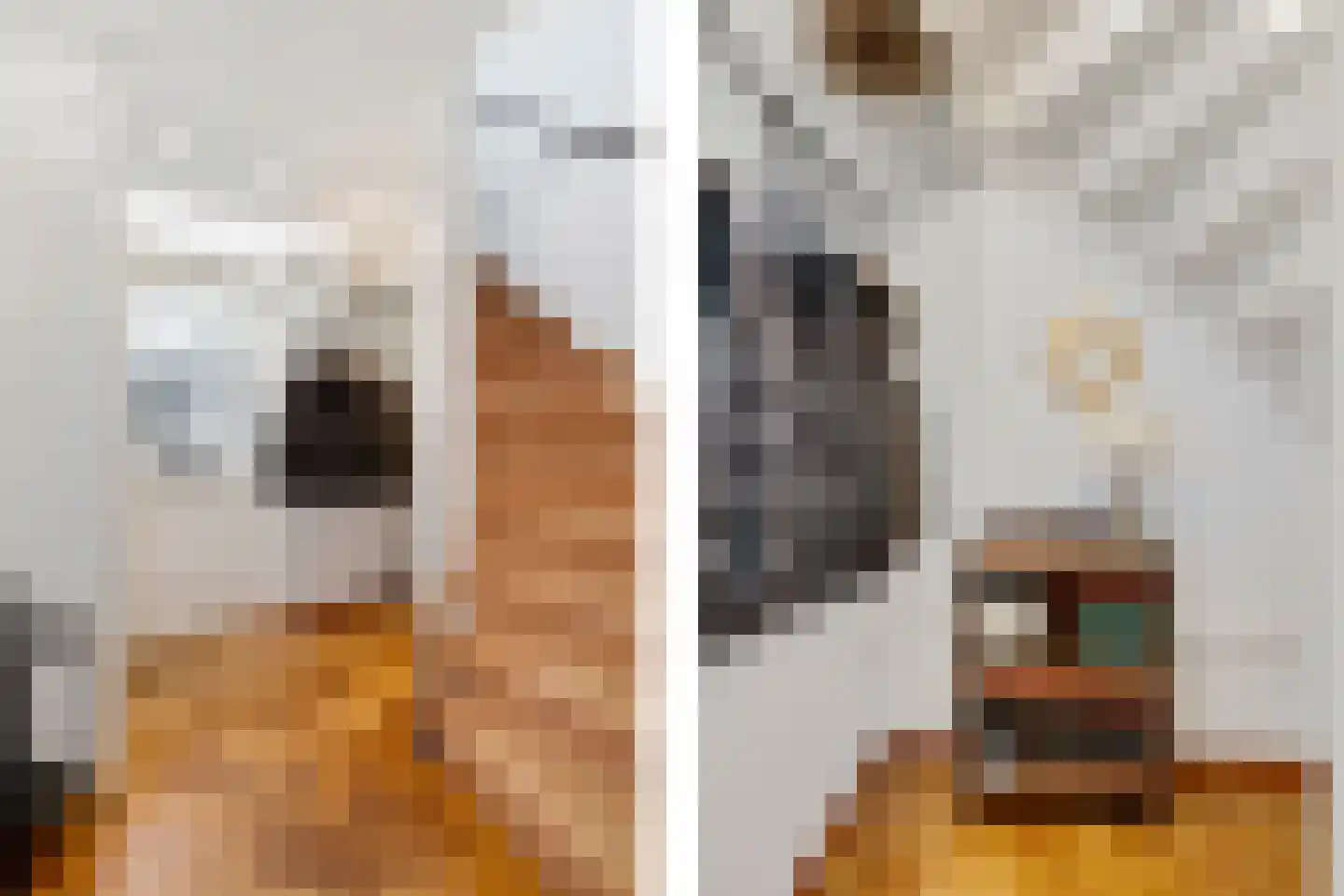 Roompot 23 Eindhoven thumbnail 7