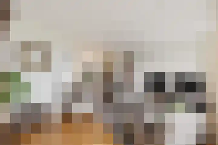 Roompot 23 Eindhoven thumbnail 9