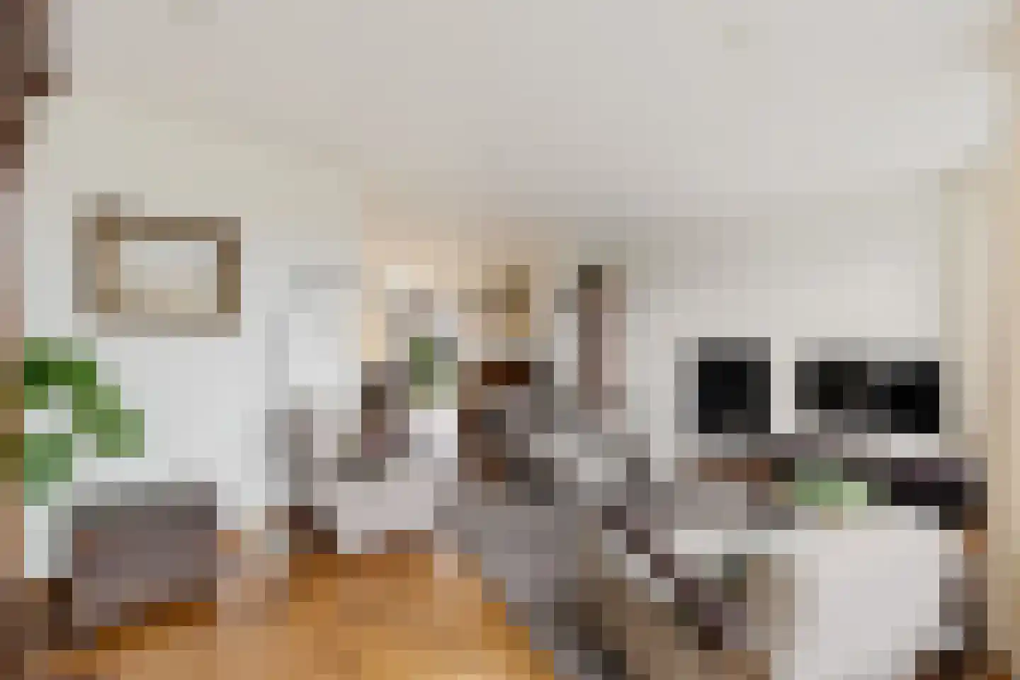Roompot 23 Eindhoven thumbnail 9