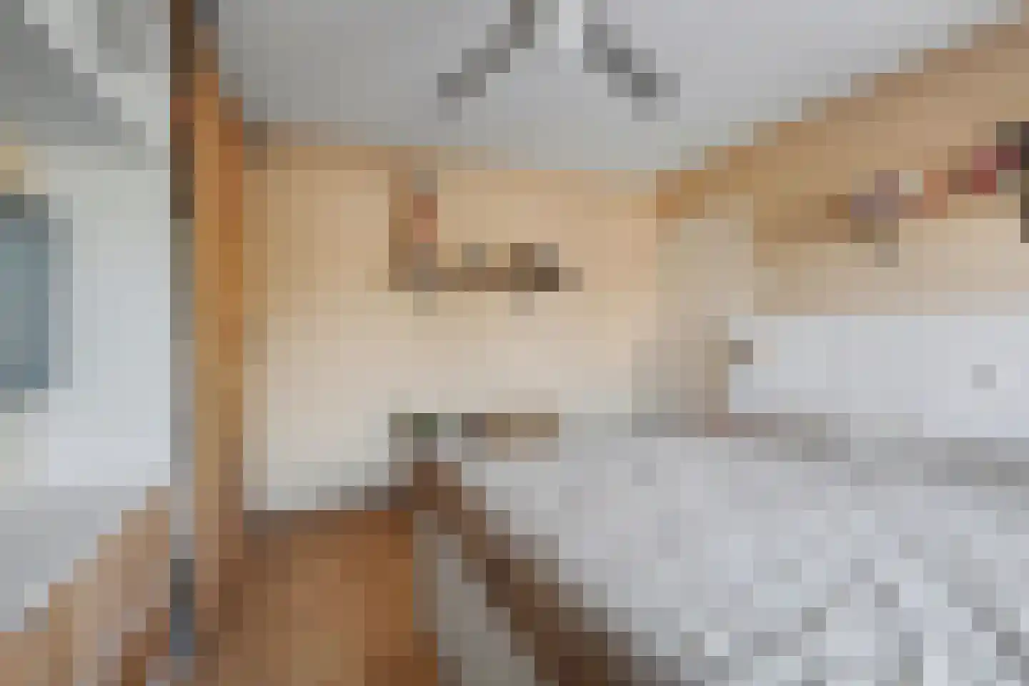 Roompot 25 B Hansweert thumbnail 16