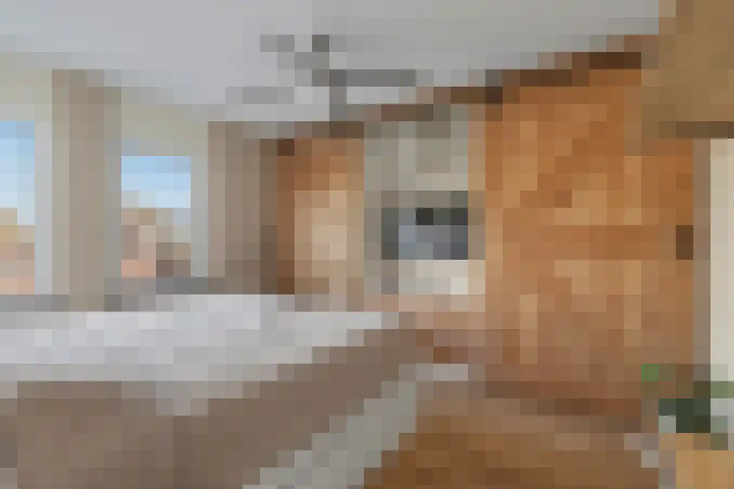 Roompot 25 B Hansweert thumbnail 17