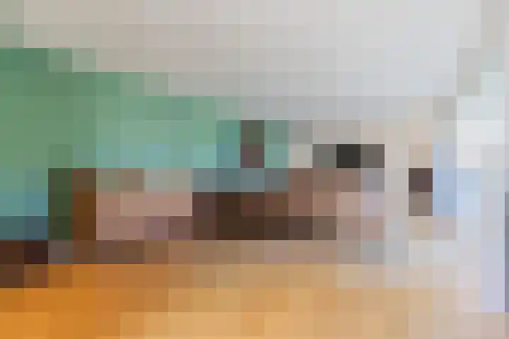 Roompot 25 Eindhoven thumbnail 12