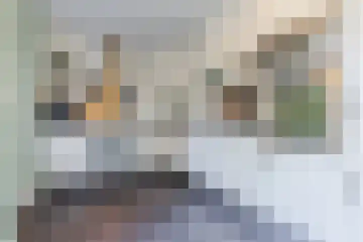 Roompot 25 Eindhoven thumbnail 19
