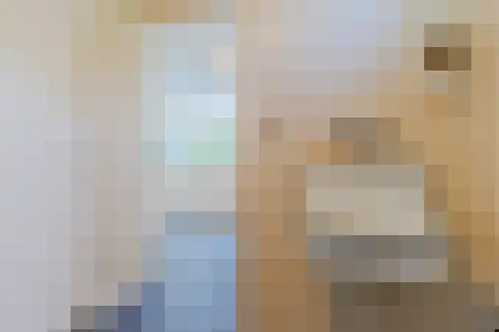 Roompot 25 Eindhoven thumbnail 24