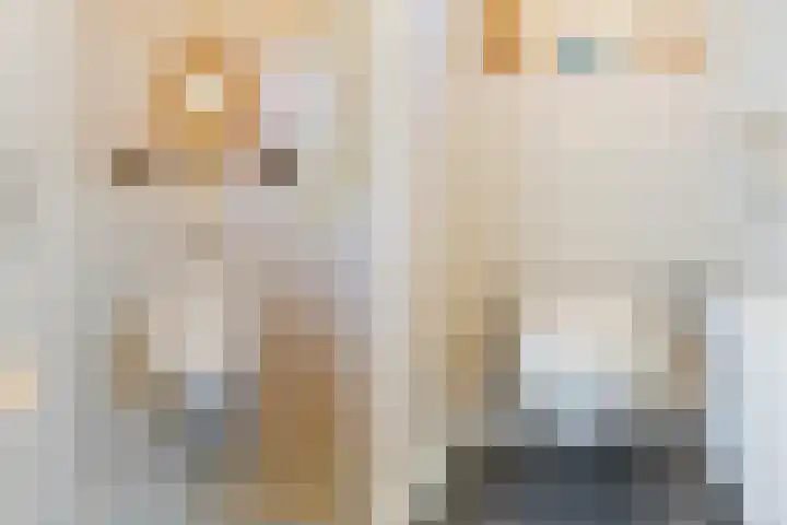 Roompot 25 Eindhoven thumbnail 25
