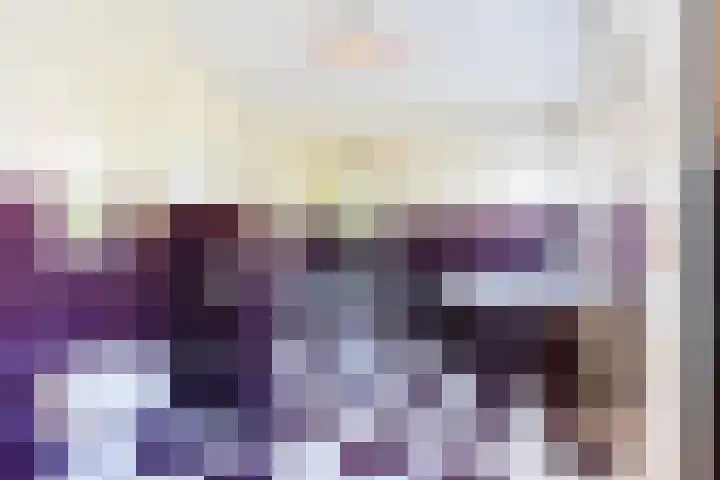 Roompot 25 Eindhoven thumbnail 36
