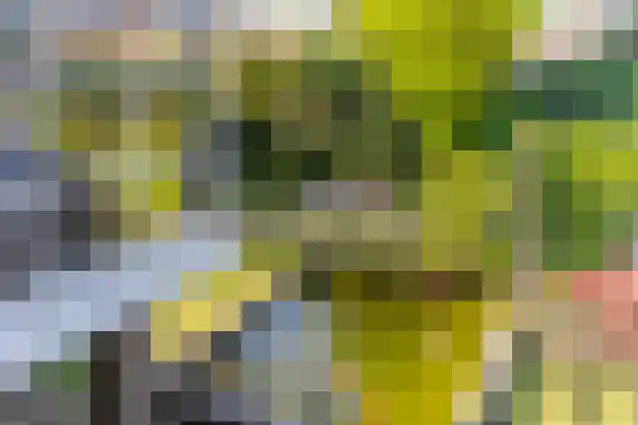 Roompot 25 Eindhoven thumbnail 41