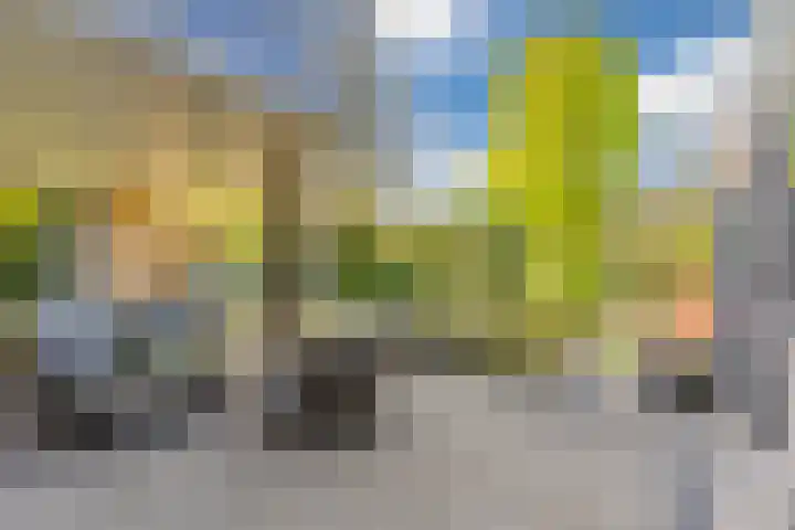 Roompot 25 Eindhoven thumbnail 47
