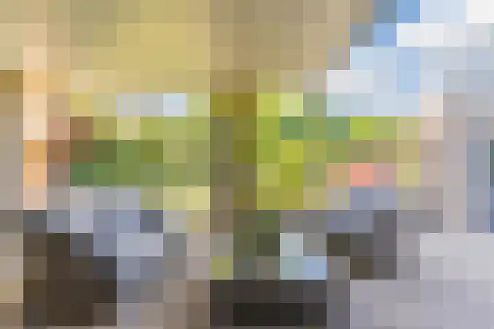 Roompot 25 Eindhoven thumbnail 48