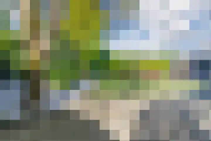 Roompot 25 Eindhoven thumbnail 51