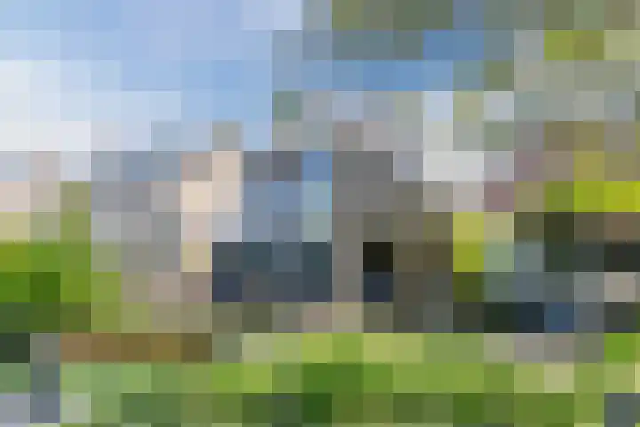 Roompot 25 Eindhoven thumbnail 53