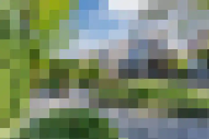 Roompot 25 Eindhoven thumbnail 54