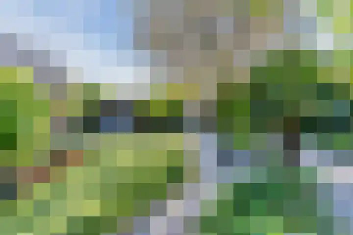 Roompot 25 Eindhoven thumbnail 55