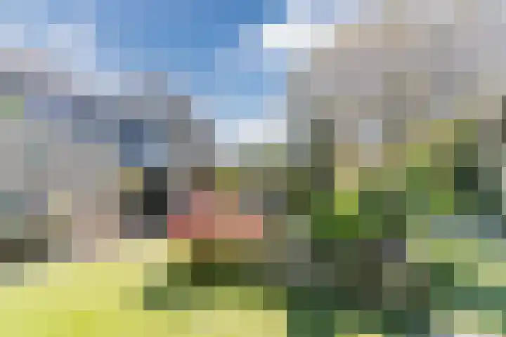 Roompot 25 Eindhoven thumbnail 56