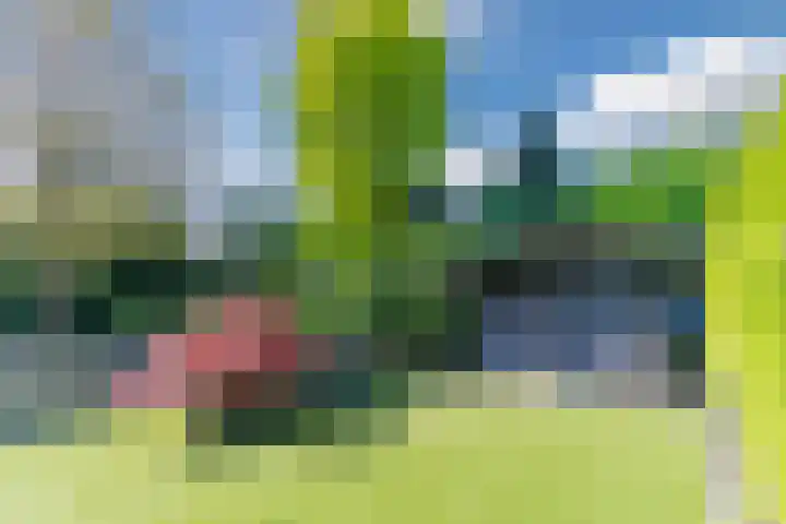 Roompot 25 Eindhoven thumbnail 57