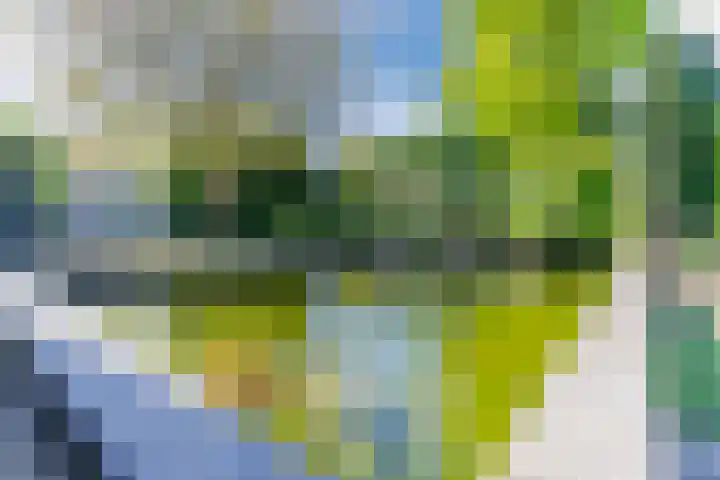 Roompot 25 Eindhoven thumbnail 59