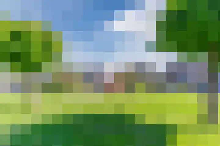 Roompot 25 Eindhoven thumbnail 6