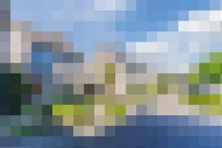 Roompot 25 Eindhoven thumbnail 60