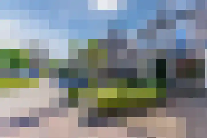 Roompot 25 Eindhoven thumbnail 61