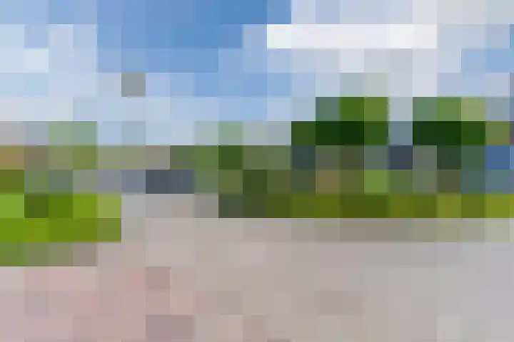 Roompot 25 Eindhoven thumbnail 62