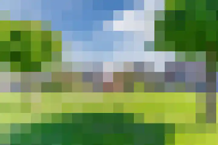 Roompot 25 Eindhoven thumbnail 63