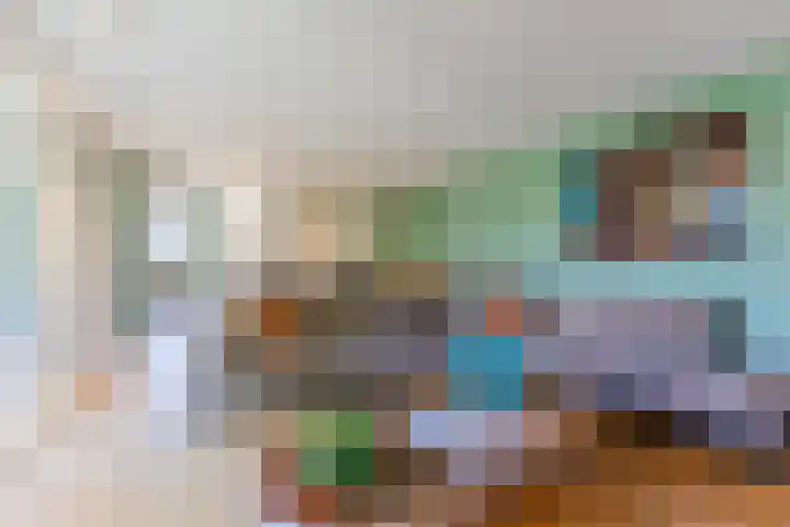 Roompot 25 Eindhoven thumbnail 8