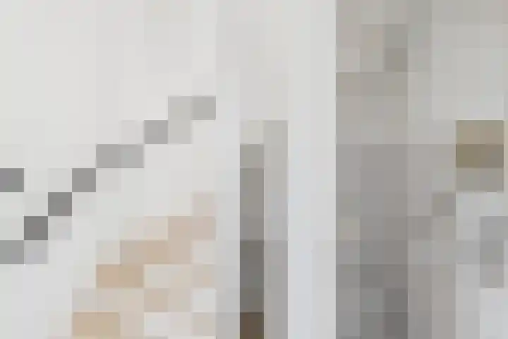 Roompot 25 Terneuzen thumbnail 10